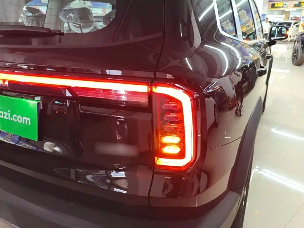 Haval Big Dog 2026 Model 1.5T High Configuration фото 8
