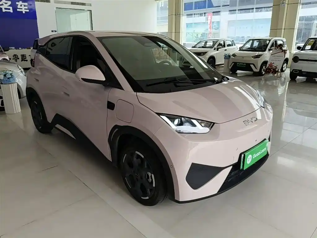 BYD Seagull 2025 Smart Drive Edition 305km Freedom Version фото 4