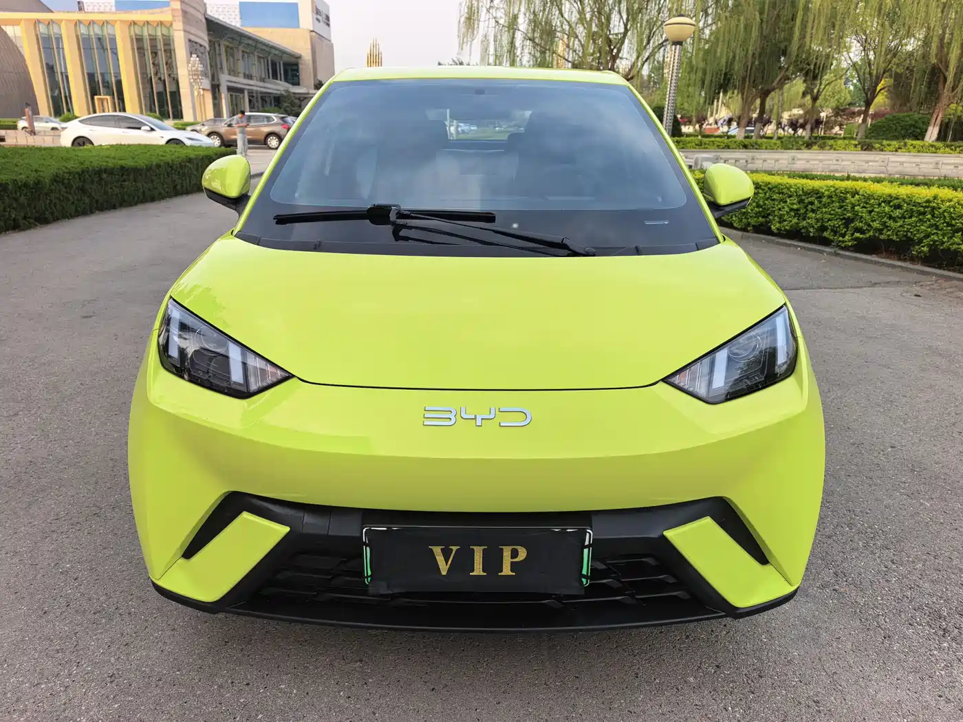 BYD Seagull 2024 Glory Edition 305km Vitality Edition