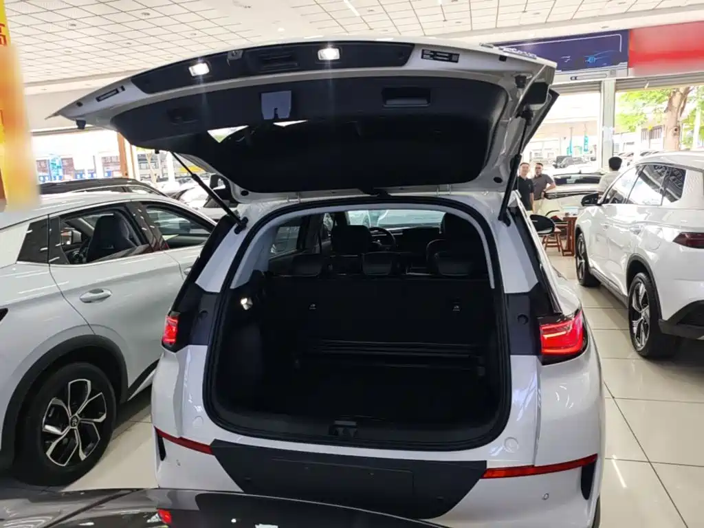 BYD Hai Shi 05 EV 2025 2025 520KM Smart Navigation Edition