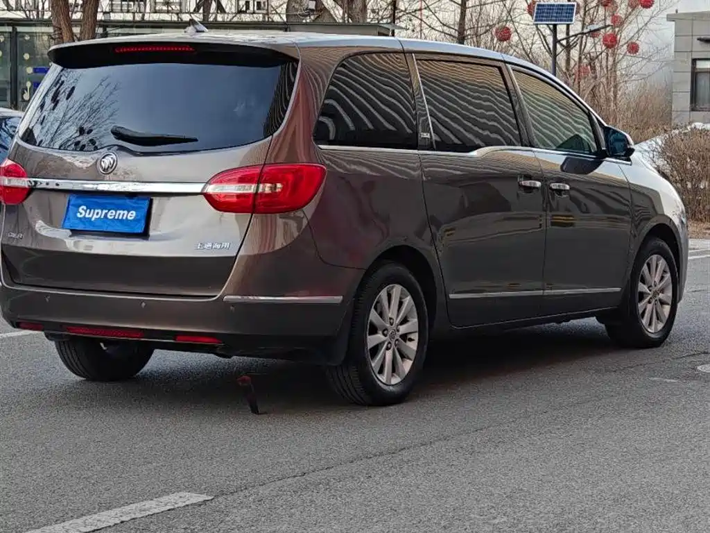 Buick GL8 2015 2.4L Luxury Business Exclusive Edition фото 5