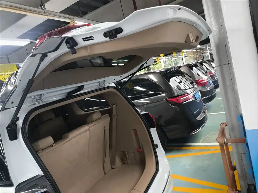 Buick GL8 2021 ES Landlord 653T Premium фото 15