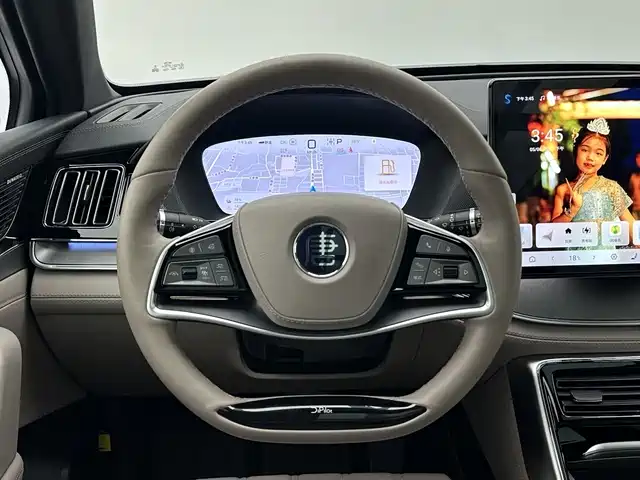 BYD Tang New Energy 2025 DM-i 115KM Prestige Type фото 11