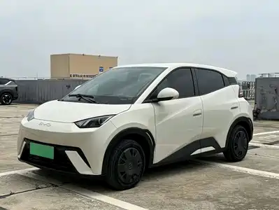 BYD Seagull