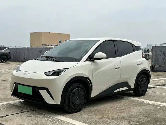 BYD Seagull Слава, 305km, Энергия