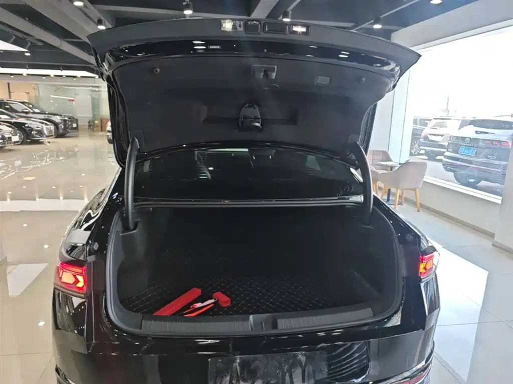 Volkswagen Magotan 2024 300TSI DSG Premium Edition (Eye-catching Package) фото 19