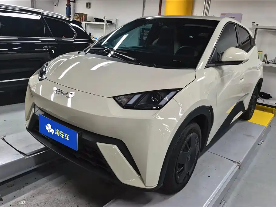 BYD Seagull 2025 Smart Drive Edition 305km Vitality Version