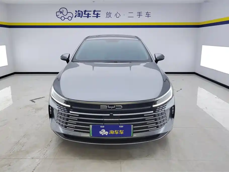 BYD Destroyer 05 2024 Glory Edition DM-i 55KM Luxury фото 2