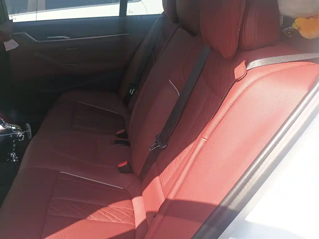 BMW 5 Series 2022 Model Second Facelift 530Li Leading M Sport Package фото 13