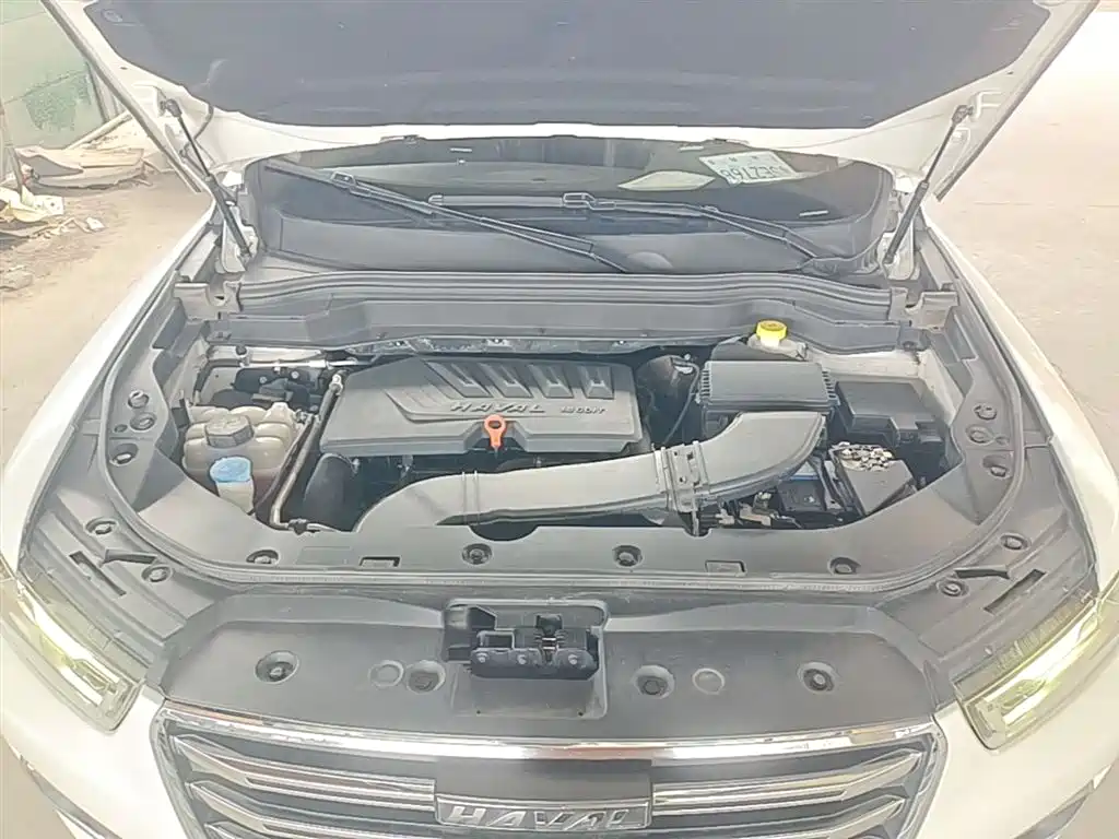 Haval H6 2020 1.5GDIT Automatic Platinum Luxury Edition фото 20
