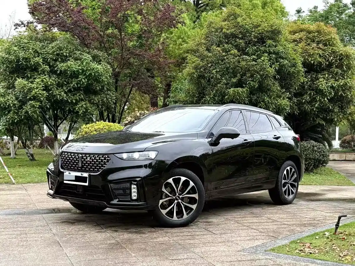 Wey VV7 2021 Model 2.0T Technology Edition