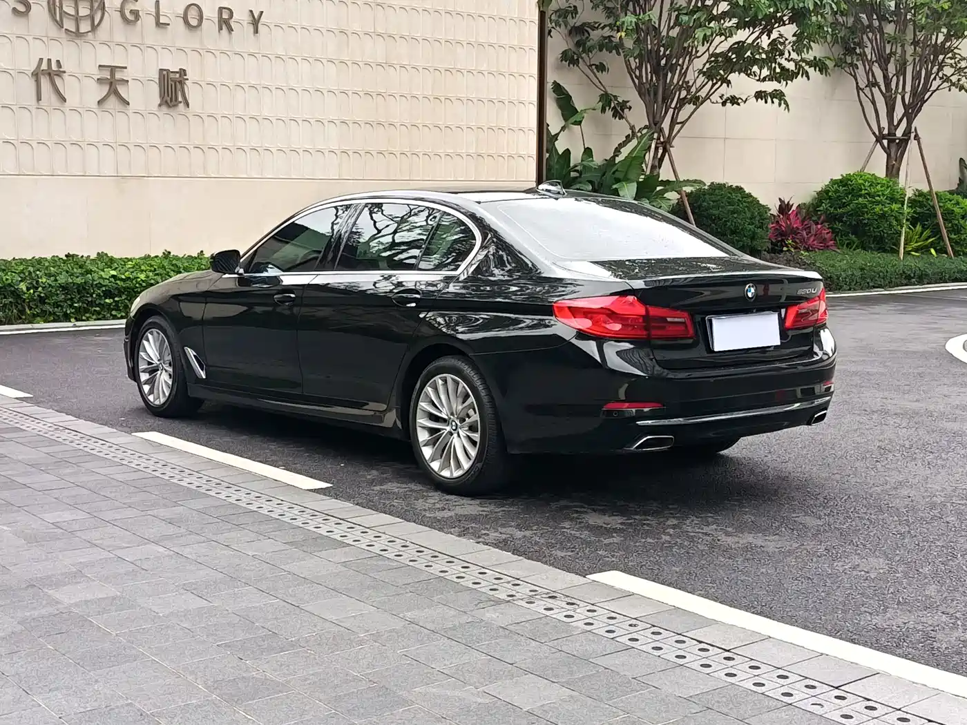 BMW 5 Series 2019 530Li Leading Luxury Package фото 6