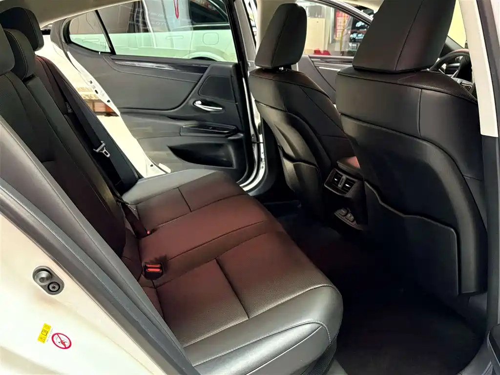Lexus ES 2018 300h Excellence Edition China VI фото 10
