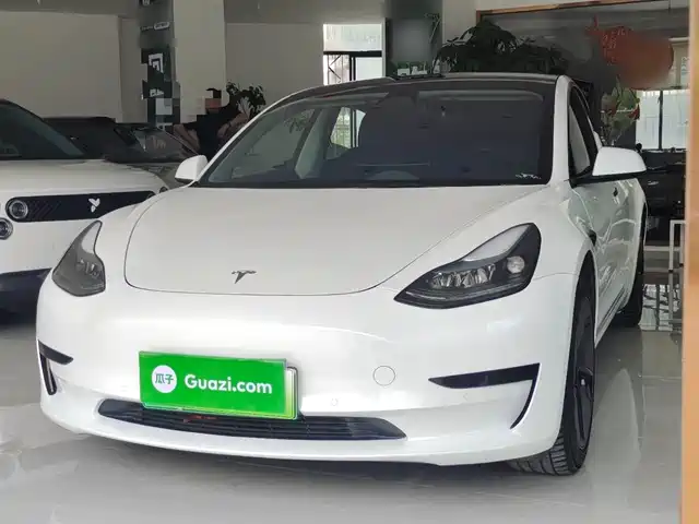 Tesla Model 3 2022 Model Rear-Wheel Drive Version