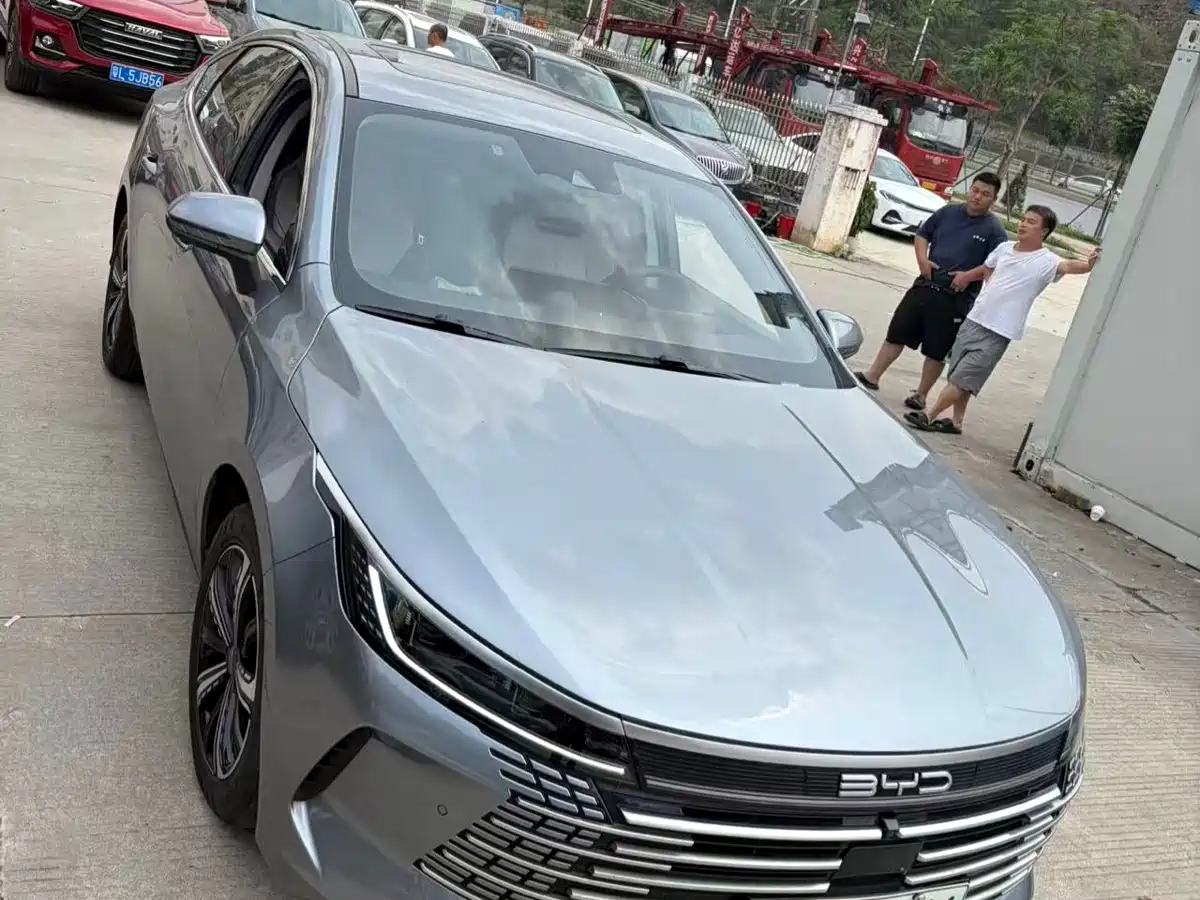 BYD Destroyer 05 2023 Champion Edition DM-i 55KM Premium фото 3