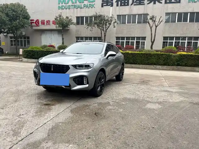 WEI PAI WEI BRAND VV5