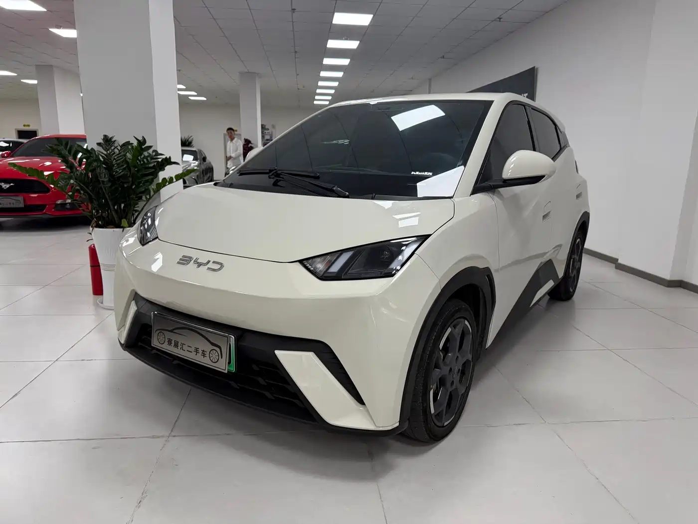 BYD Seagull 2025 305km Vitality