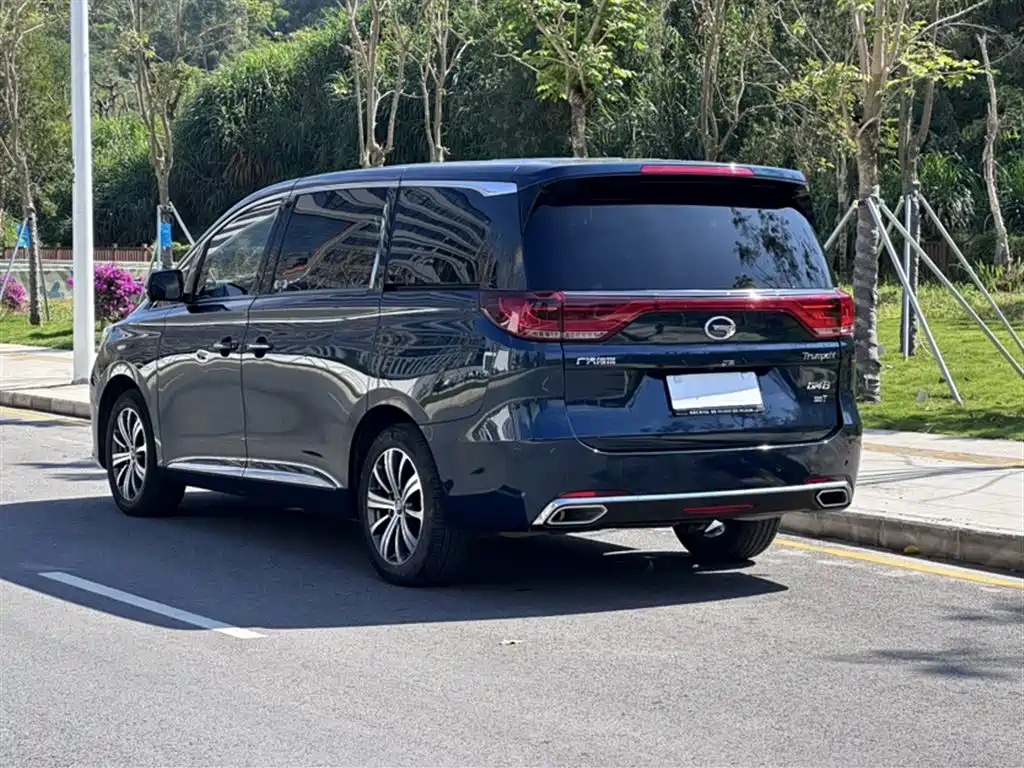 GAC Trumpchi Trumpchi M8 2019 320T Ultimate Edition фото 22