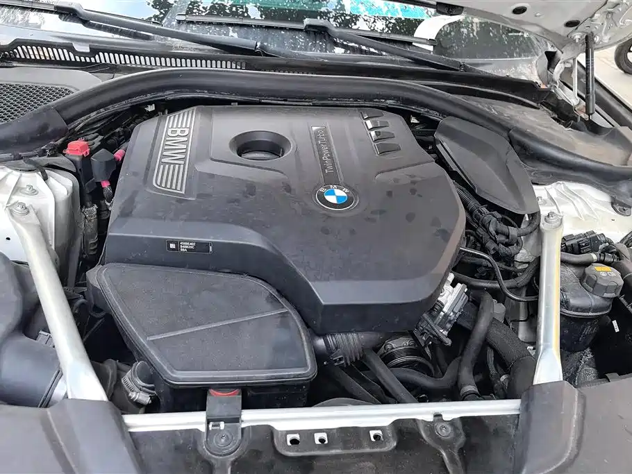 BMW 5 Series 2018 525Li Luxury Package фото 10