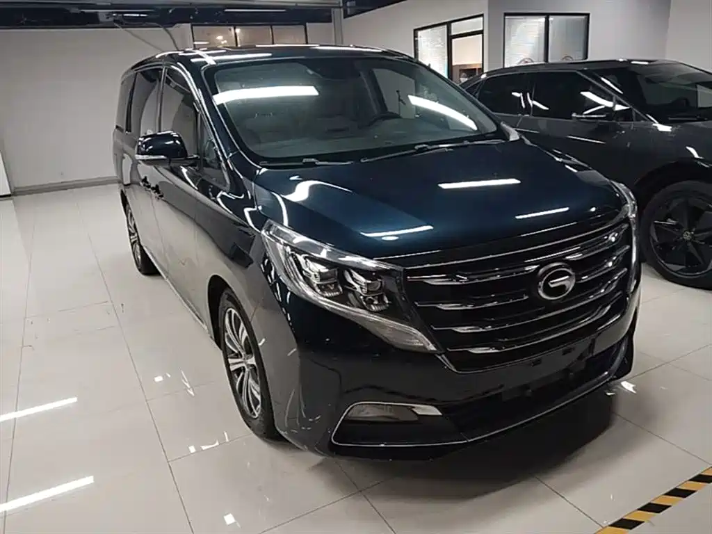 GAC Trumpchi Trumpchi M8 2018 320T Premium Edition фото 4