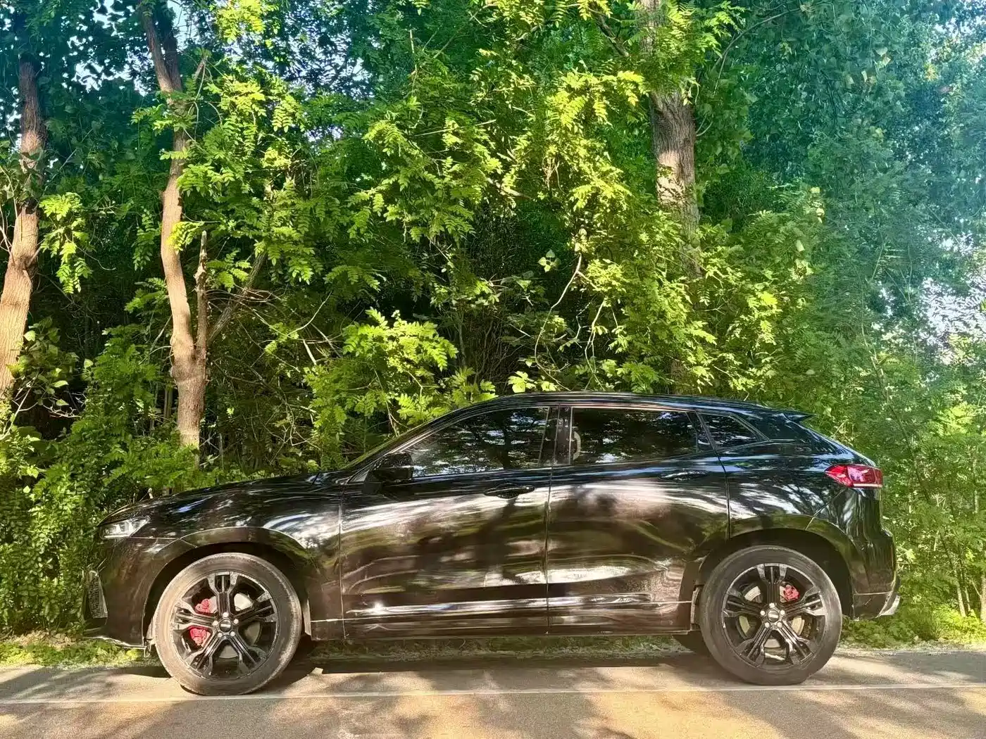 Фото 3 - WEY VV7