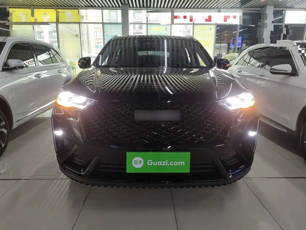 Haval H6 2021 3rd Generation 2.0T Auto AWD Max фото 19