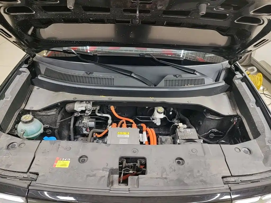 Baojun Yueye Plus 2025 2026 301km Flagship