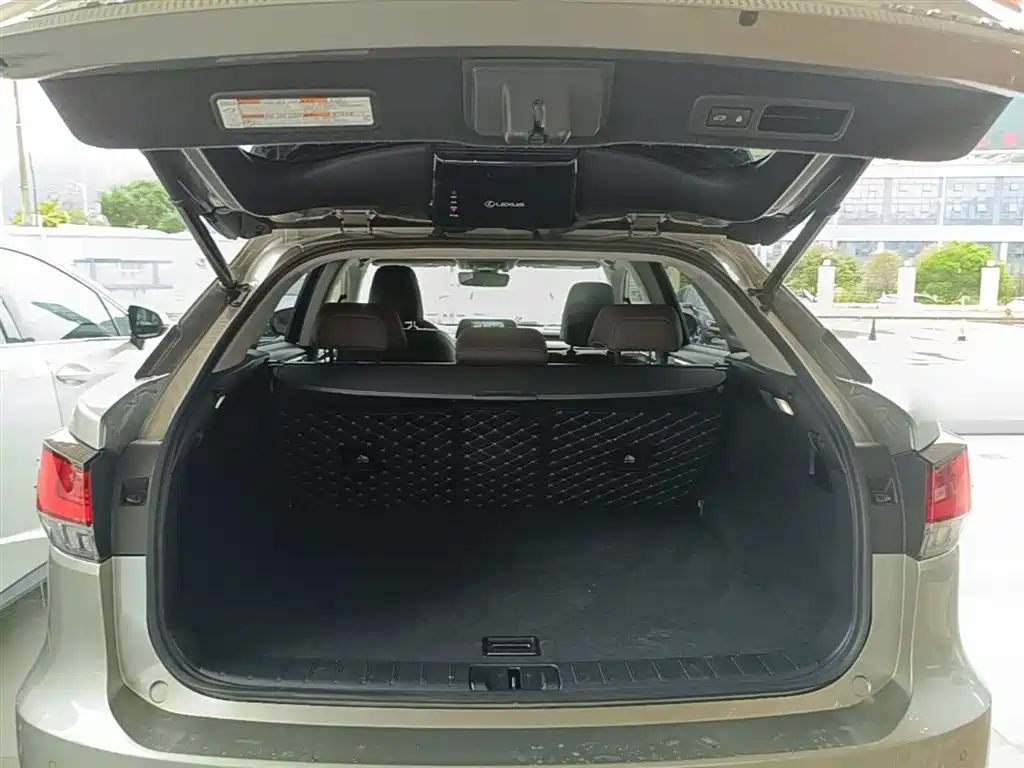 Lexus RX 2020 300 4WD Elegance Edition China VI фото 19
