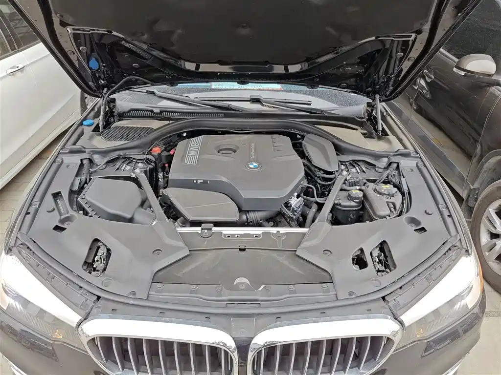BMW 5 Series 2018 530Li xDrive Luxury Package фото 20