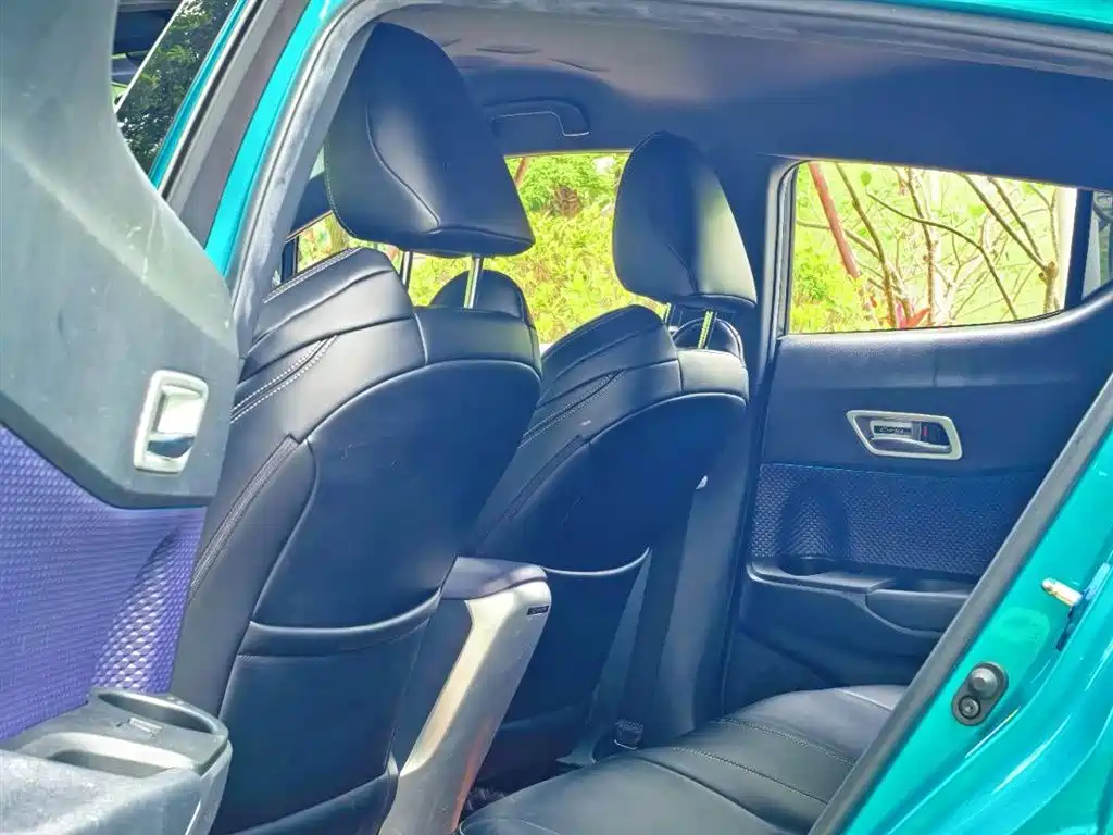 Toyota C-HR 2018 2.0L Luxury Edition China V фото 10