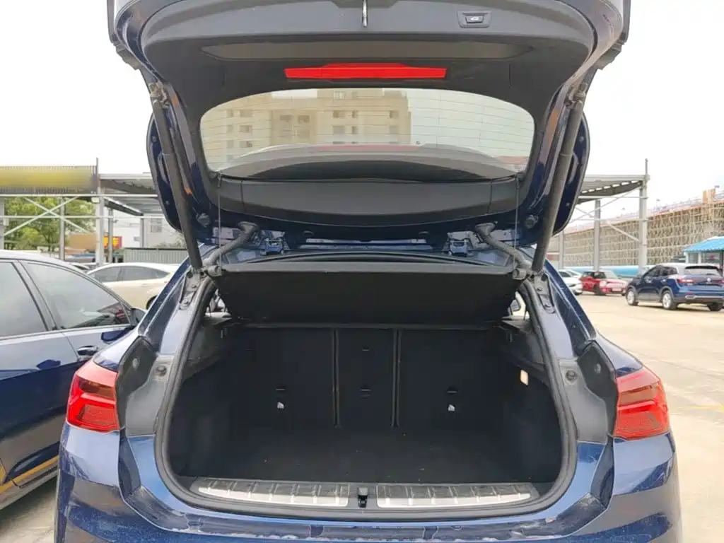 BMW X2 2020 2020 sDrive25i Leading M Sport Package