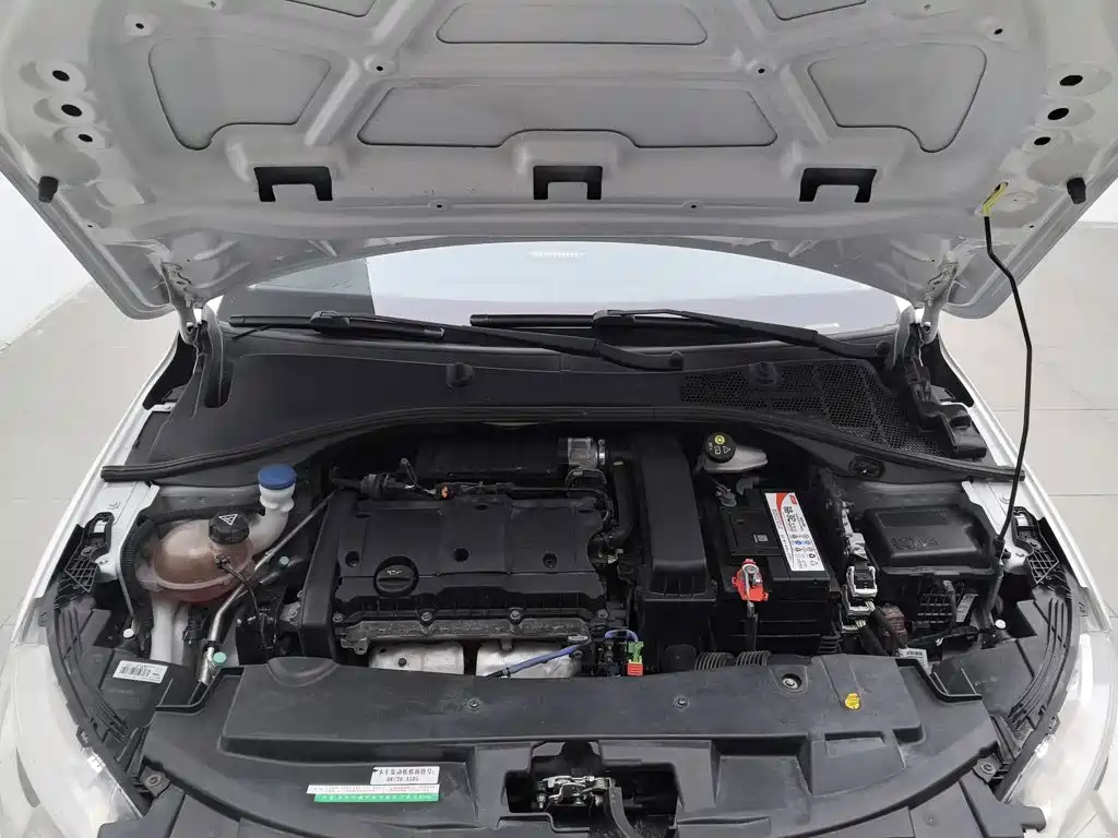 صورة 6 - Peugeot 301