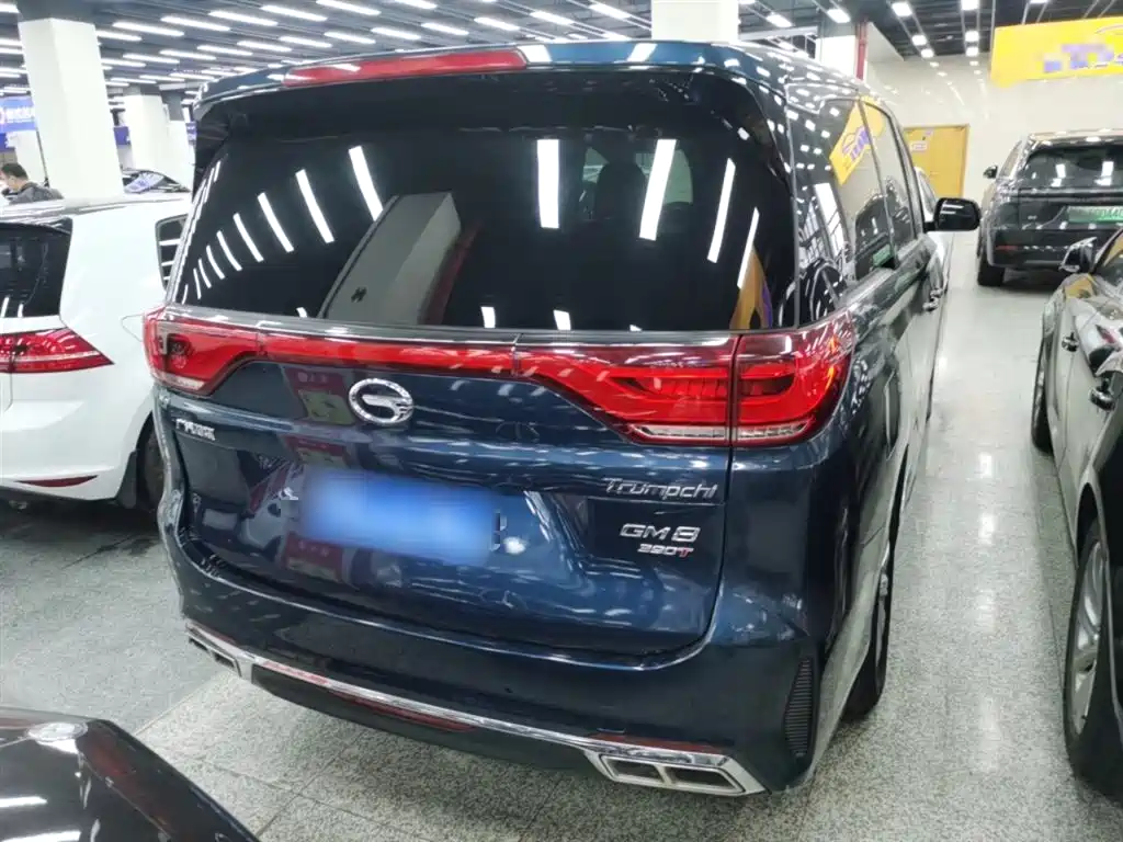 GAC Trumpchi Trumpchi M8 2020 Pilot 390T Premium Edition фото 4