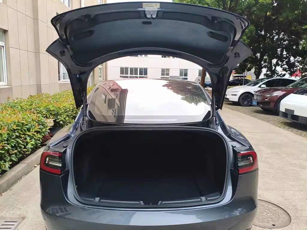 Tesla Model 3 (Import) 2019 2019 Long Range RWD Version