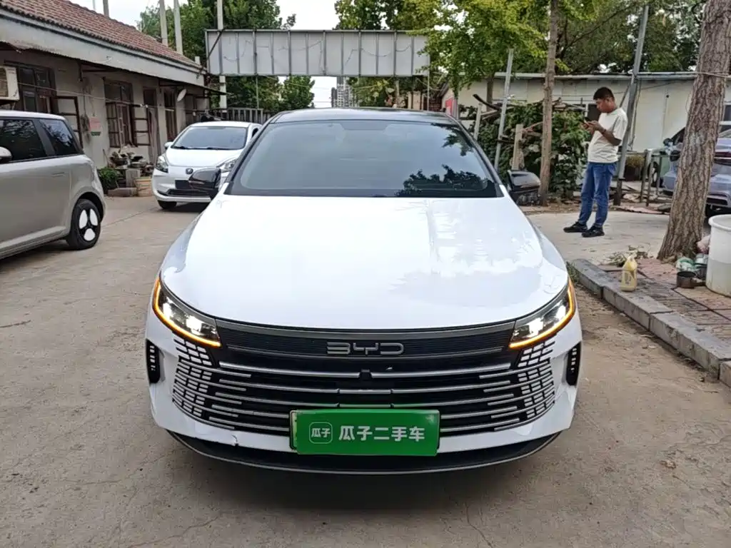 صورة 3 - BYD Destroyer 05