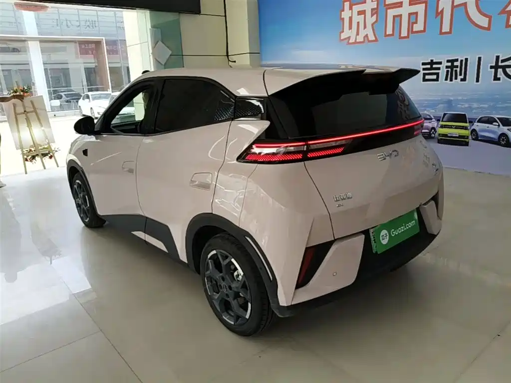 BYD Seagull 2025 Smart Drive Edition 305km Freedom Version фото 5