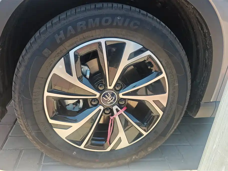 BYD Song Pro New Energy 2025 2nd Generation Smart Drive Edition DM-i 75KM Leading Type фото 6