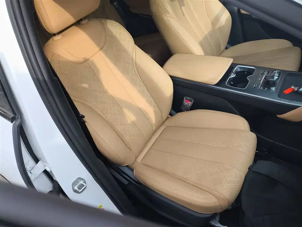 BYD Song L DM-i 2024 112km Leading Edition фото 25