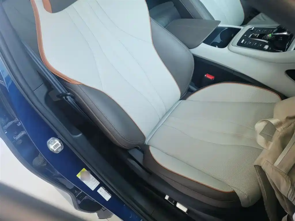BYD Song Pro New Energy 2022 DM-i 110km Flagship Pro фото 24