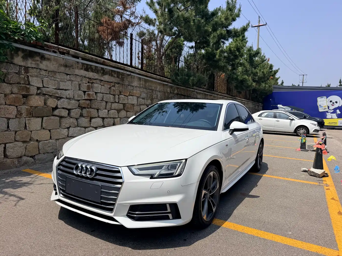Audi A4L 2018 30th Anniversary 40 TFSI Fashion