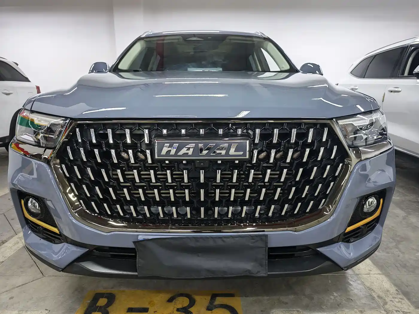 Haval H6 2023 National Trend Edition 1.5T Automatic Champion фото 2