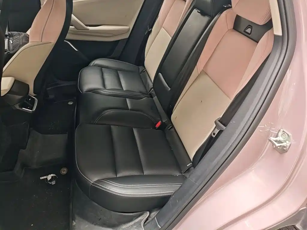 Lynk & Co 06 EM-P 2022 2022 PHEV Shero Pink Special Edition