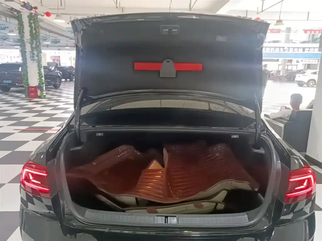 Volkswagen Magotan 2020 330TSI DSG Luxury фото 19