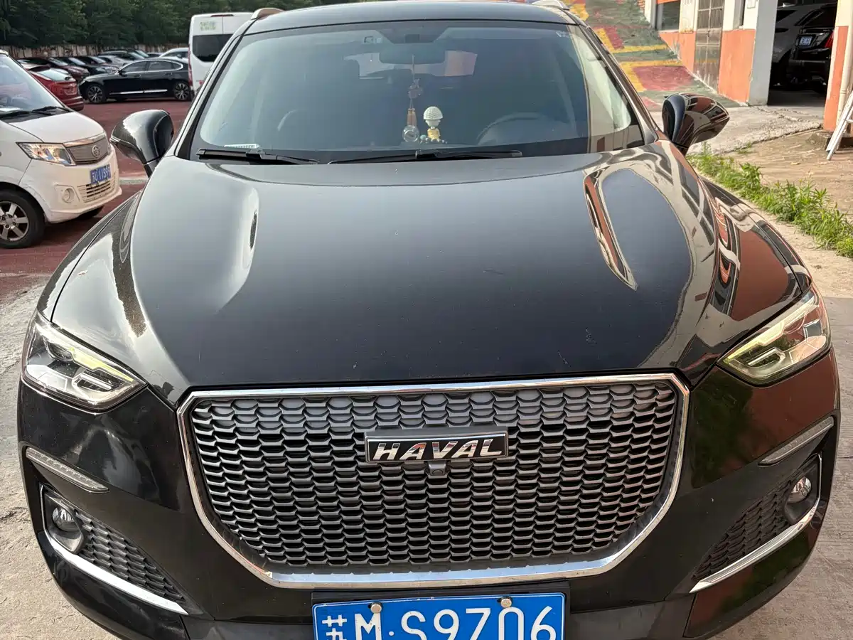 Haval F5 2019 National Trend Edition 1.5T iStyle China VI