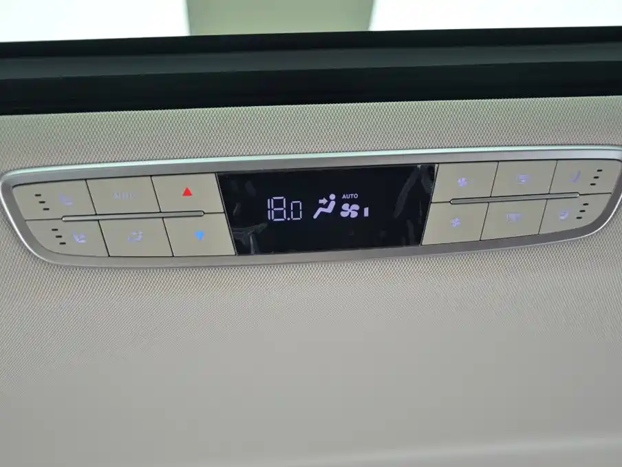 Hongqi HQ9 2024 2023 2.0T Smart Connect Flag Enjoy Edition
