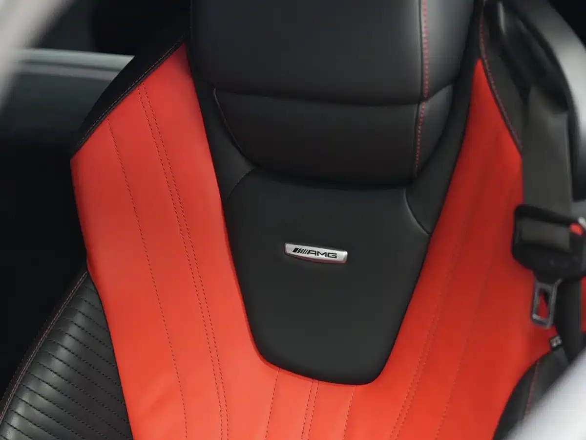 Mercedes-Benz AMG GT 2017 AMG GT фото 10
