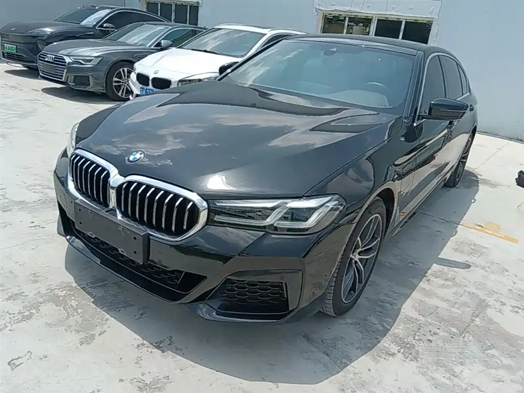BMW 5 Series New Energy 2021 535Le M Sport Package