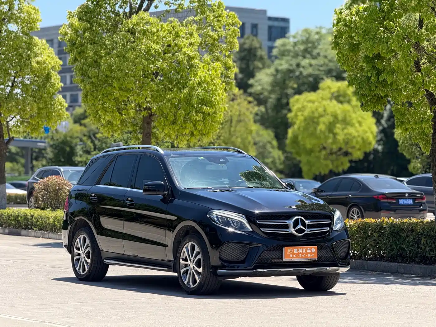 Mercedes-Benz GLE 2017 GLE 320 4MATIC Dynamic фото 3