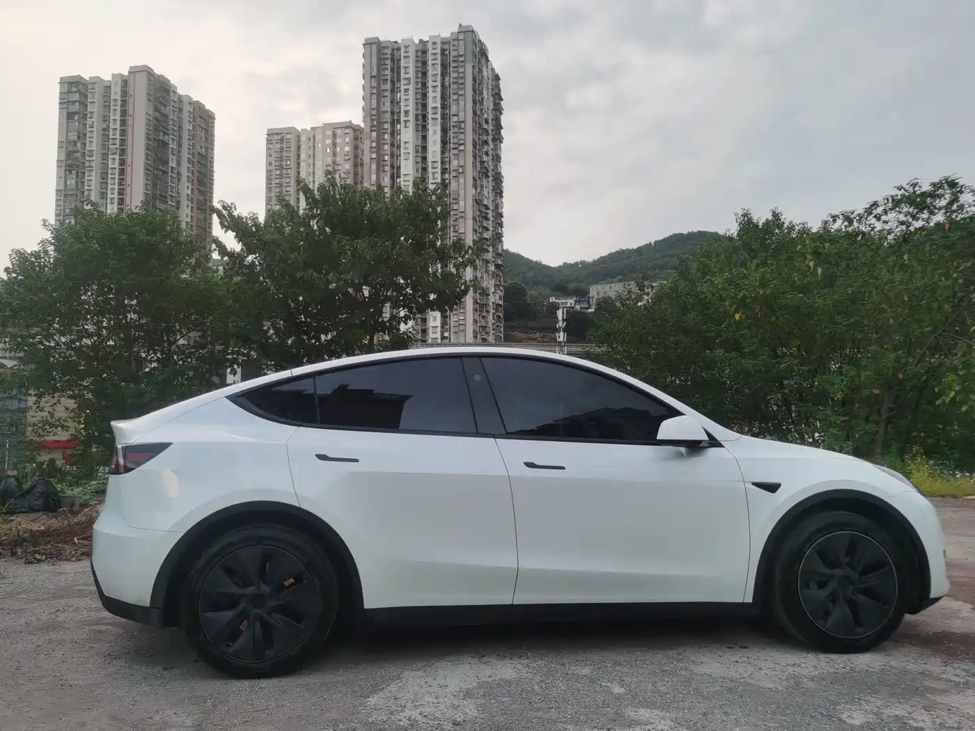 Фото 11 - Tesla Model Y