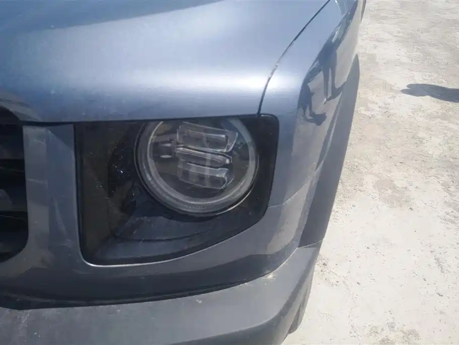 Haval Big Dog 2021 1.5T DCT 2WD Border Collie Edition фото 5